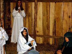 Local Church Live Nativity "For unto you is born this day in the city of David a Saviour, which is Christ the Lord." Luke 11:12